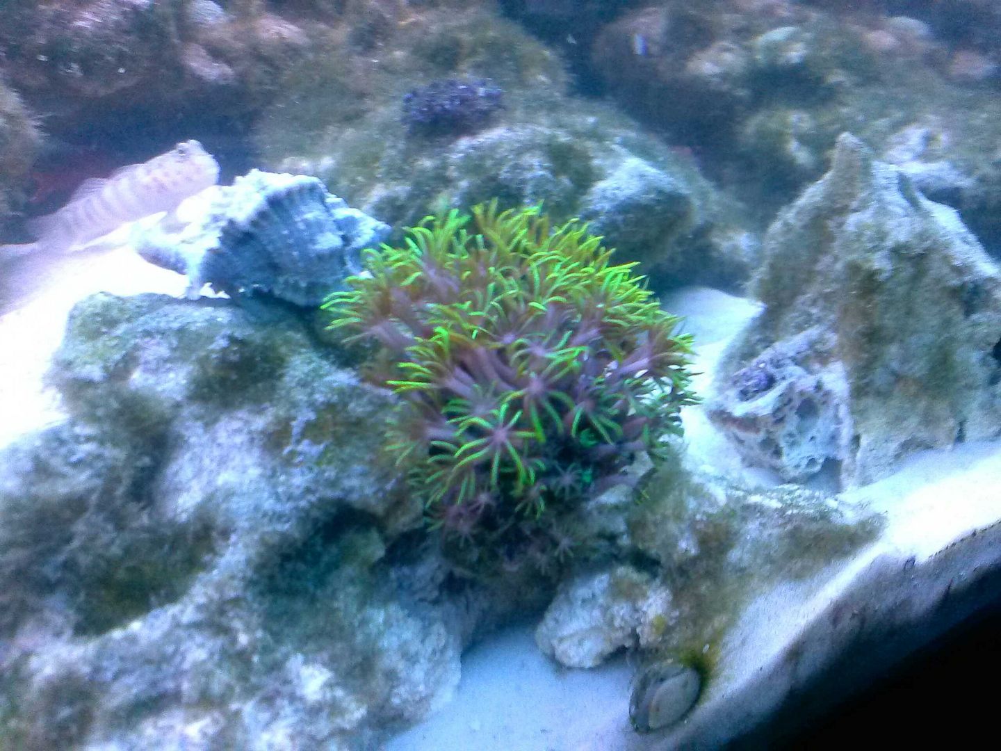 CAM00336.jpg