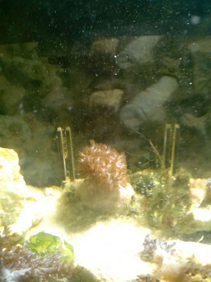 CAM00788_zps8e5b2daf.jpg