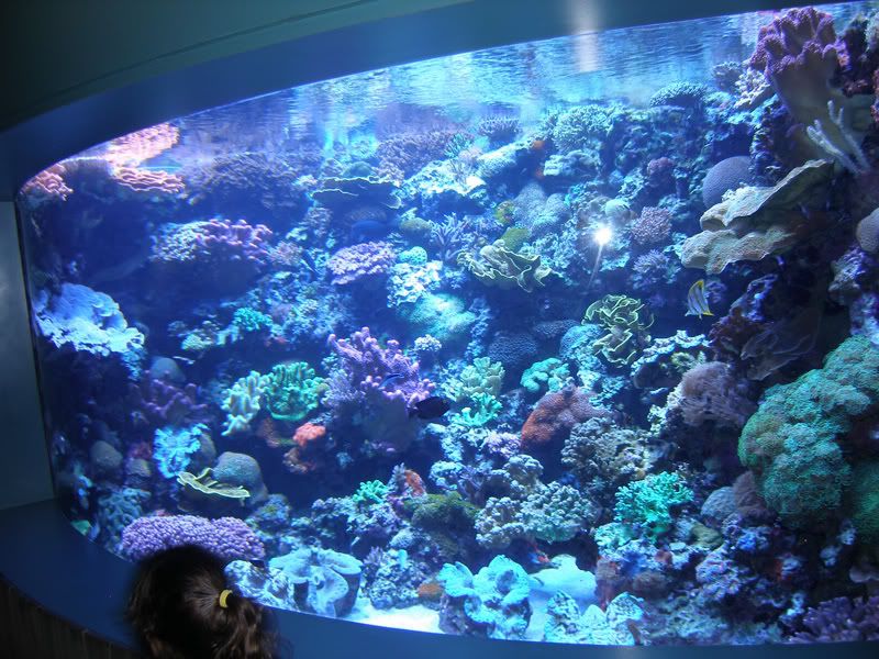 P4180225.jpg