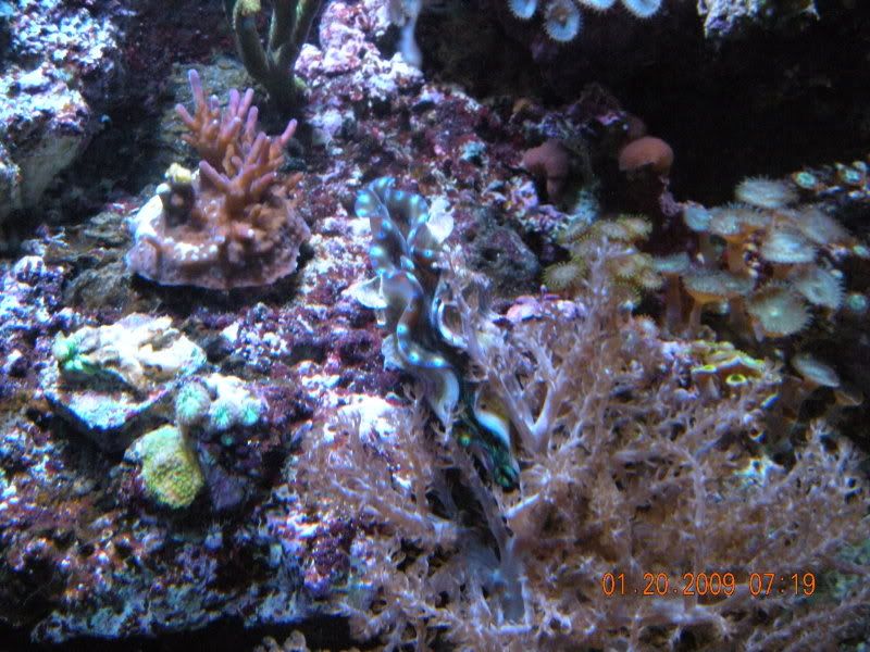 DSCN0353.jpg
