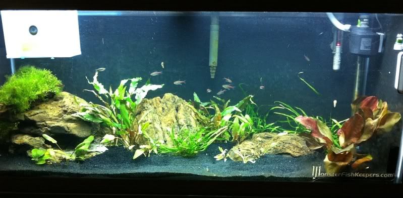 TankUpdate102311.jpg
