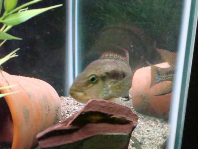 October152008011.jpg