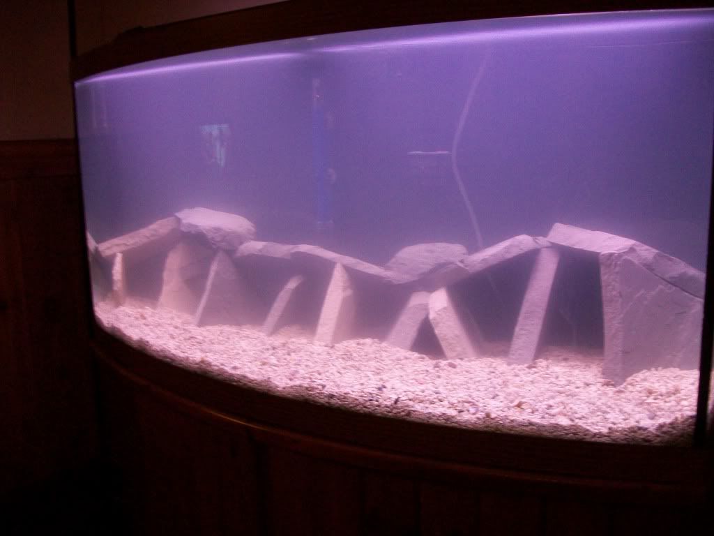 100_9598.jpg