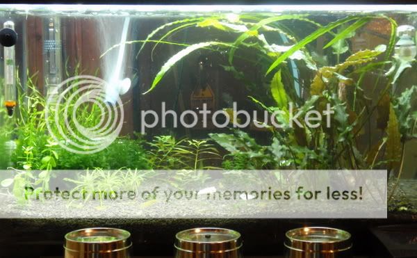 FullTankView_010710.jpg