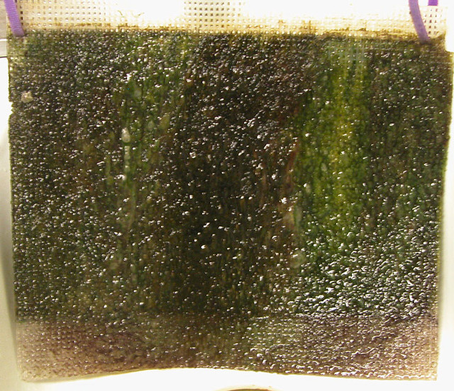 5713993327_8c8e6136de_z.jpg