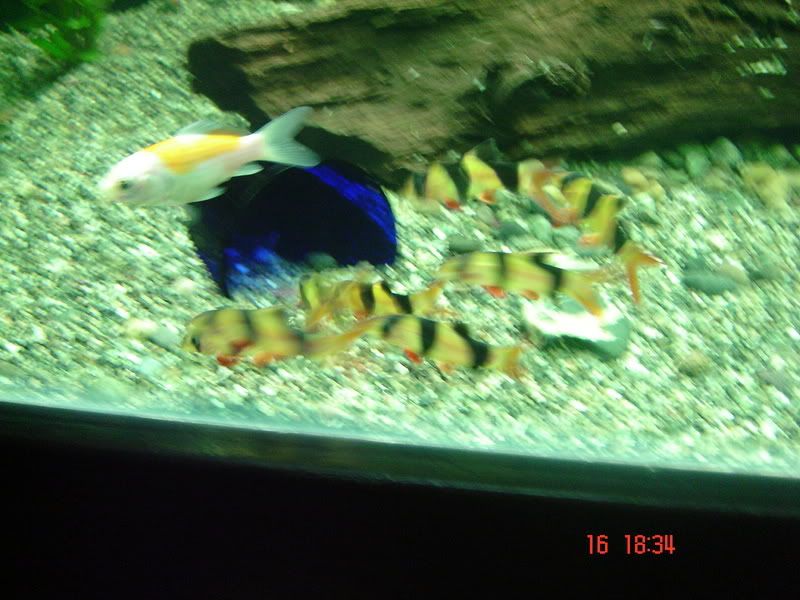 DSC03126.jpg