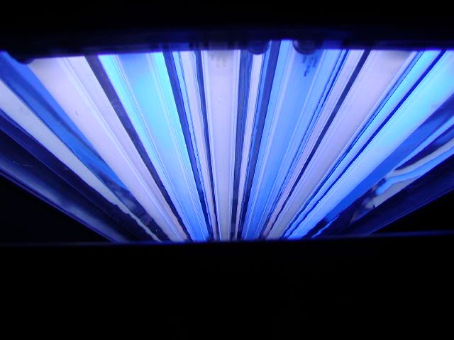 P1010005-25.jpg