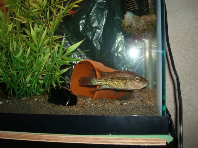 October152008061.jpg