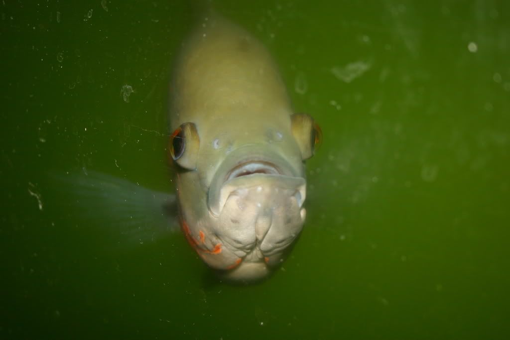 IMG_4763.jpg