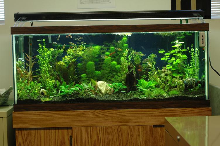 DSC_2692.JPG