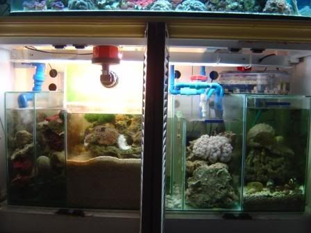 Sump.jpg