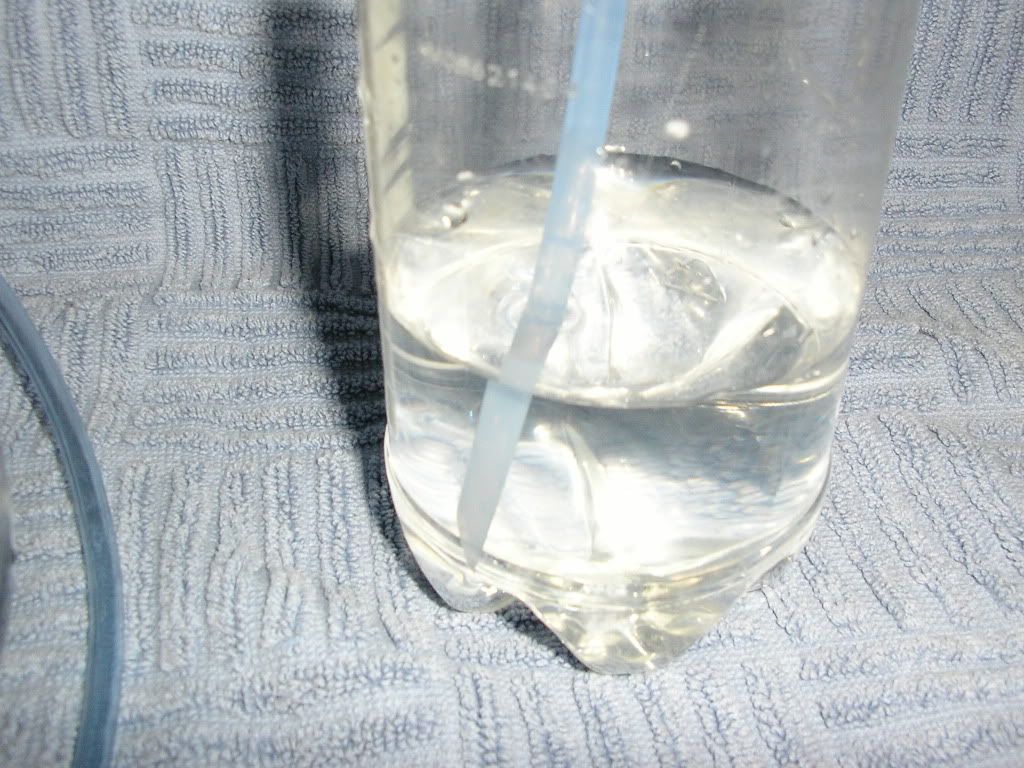 Picture227.jpg