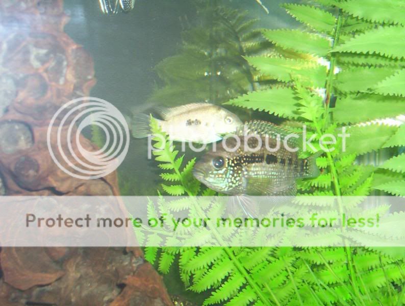 100_8523.jpg