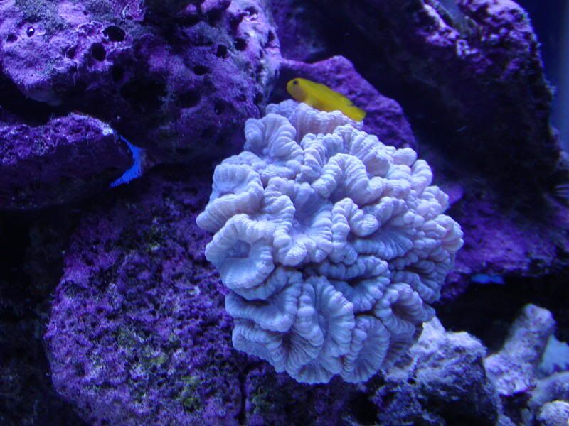 P1010007-4.jpg