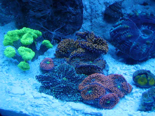 P1010002-35.jpg
