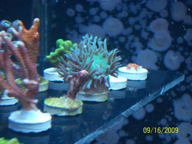 100_2259.jpg