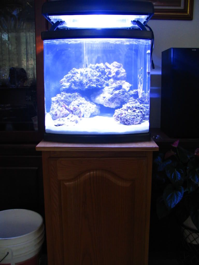 Picture1210.jpg