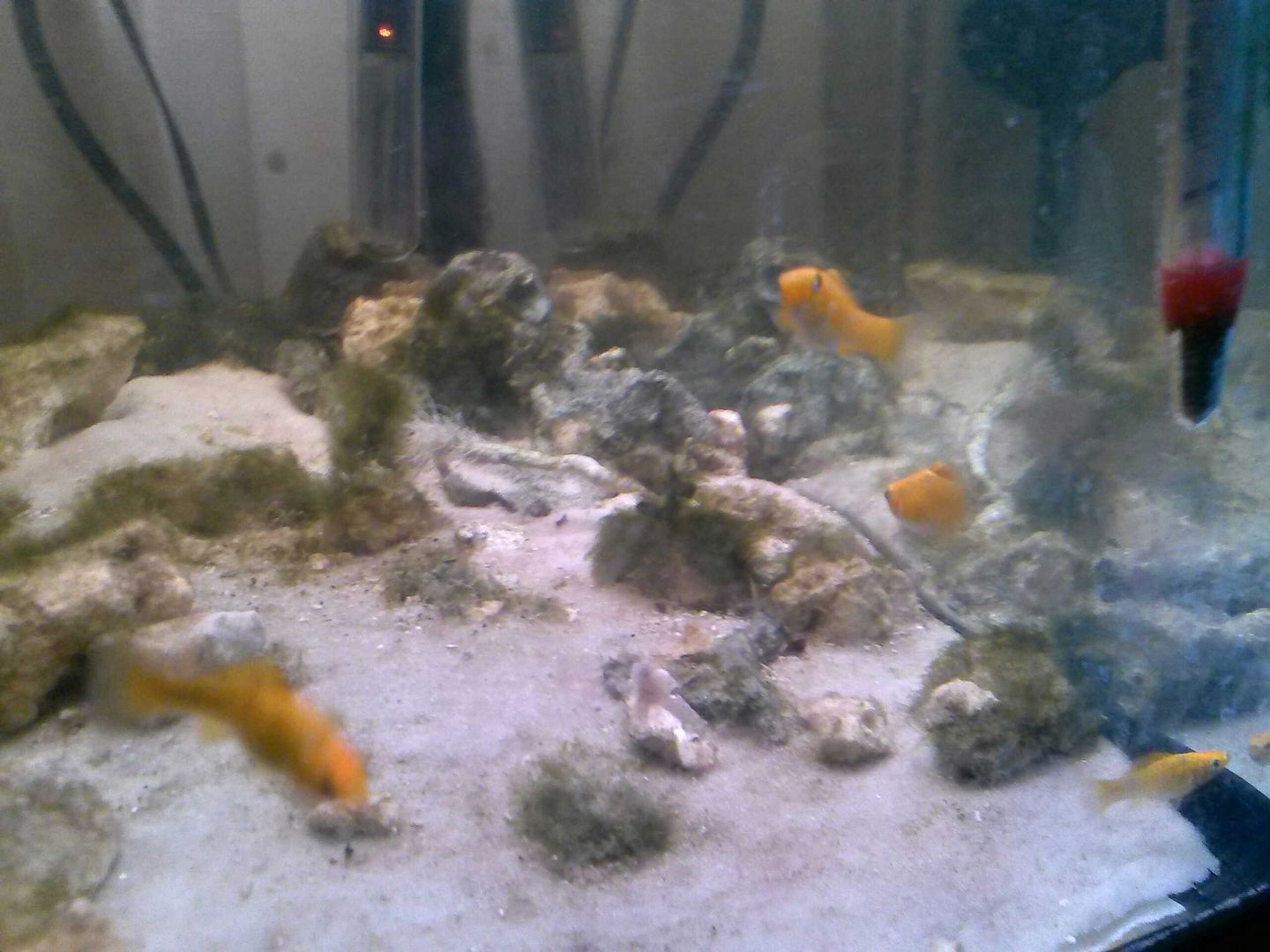 CAM00340.jpg
