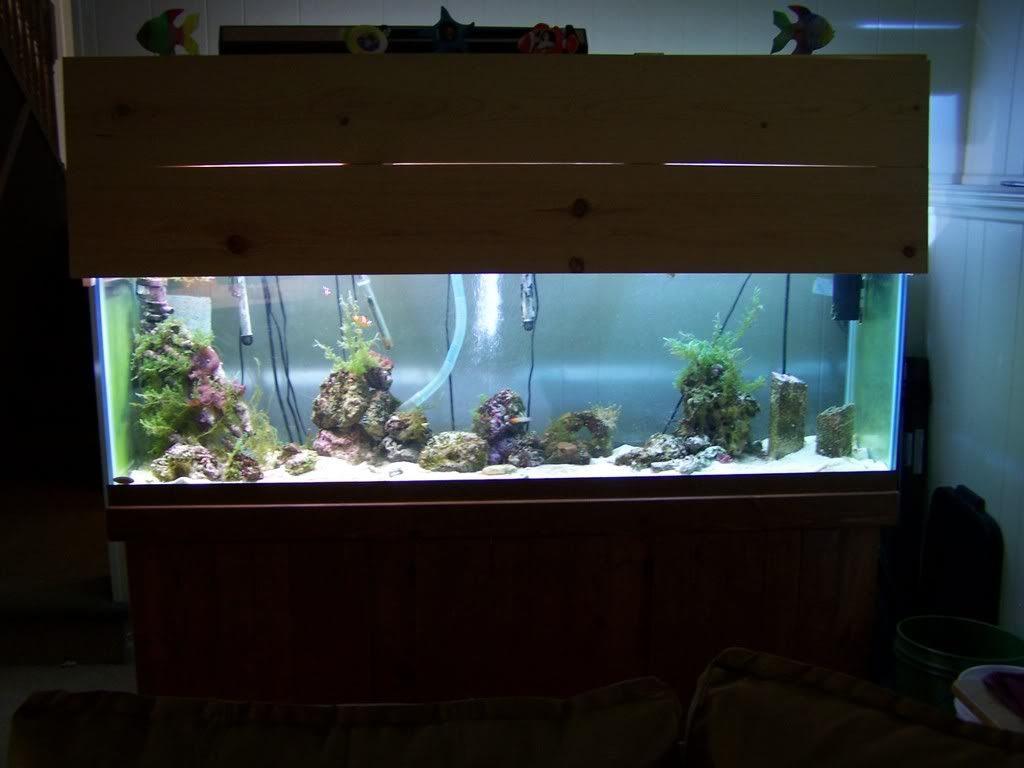 LightsOn-day5013.jpg