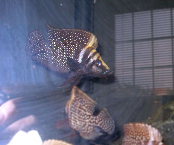 20100605_11.jpg