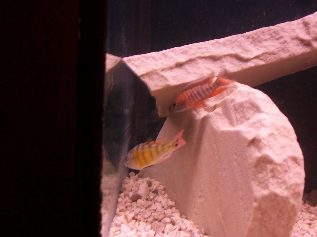 100_9615.jpg