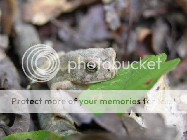 DSCN4055.jpg