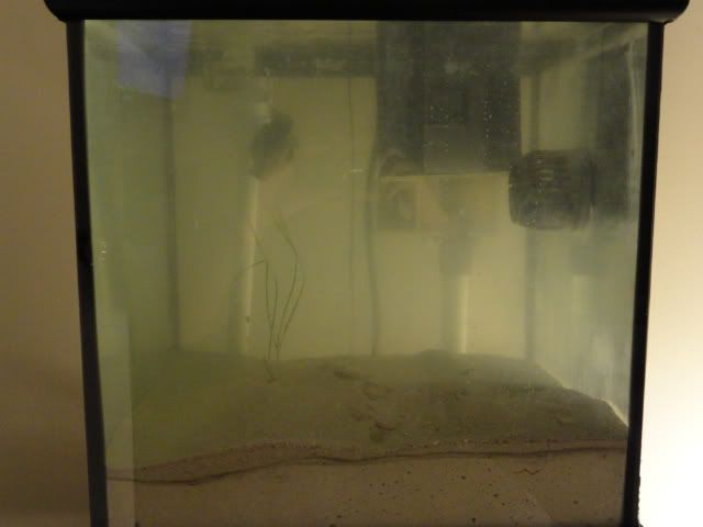 DSC00003.jpg