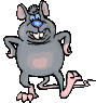 Impatient_rat.gif