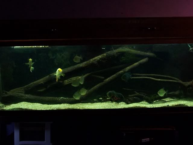 100_1460.jpg