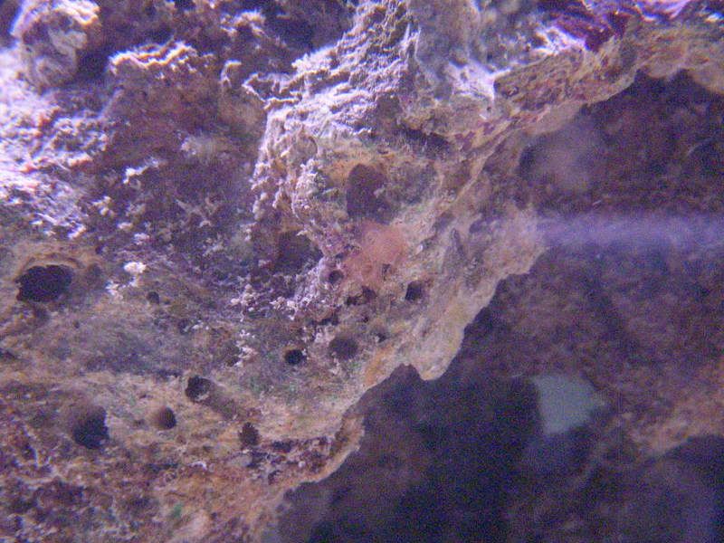 DSCN1665.jpg