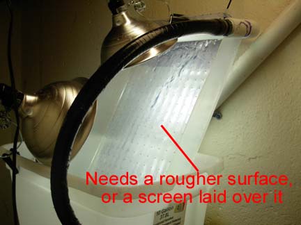 UserSean48183onSWF-1.jpg