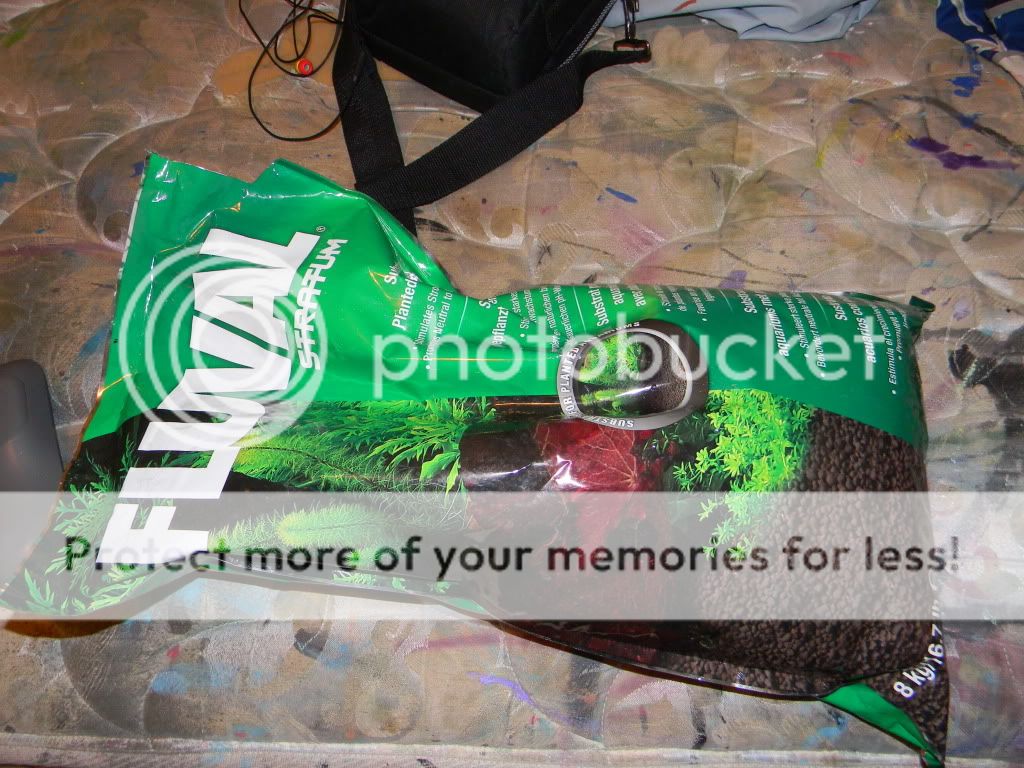 DSCN6974.jpg