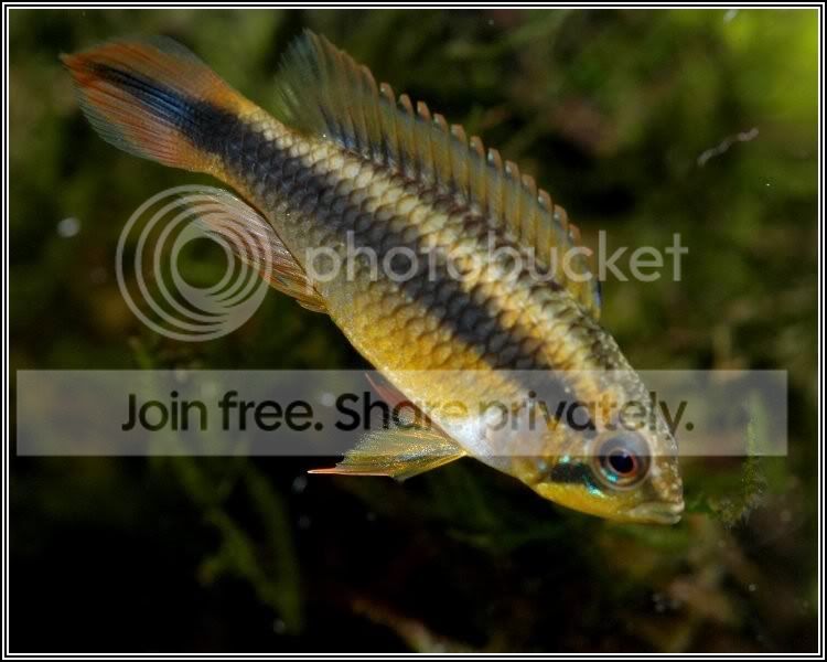 111test_750x600.jpg