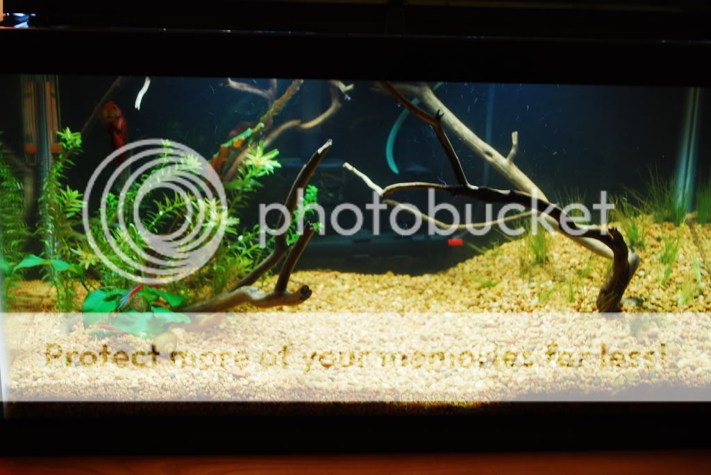 DSC_0632.jpg