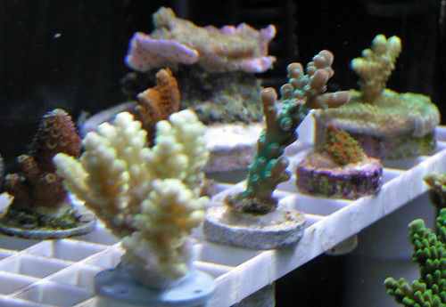 3087814445_8d91b92058.jpg