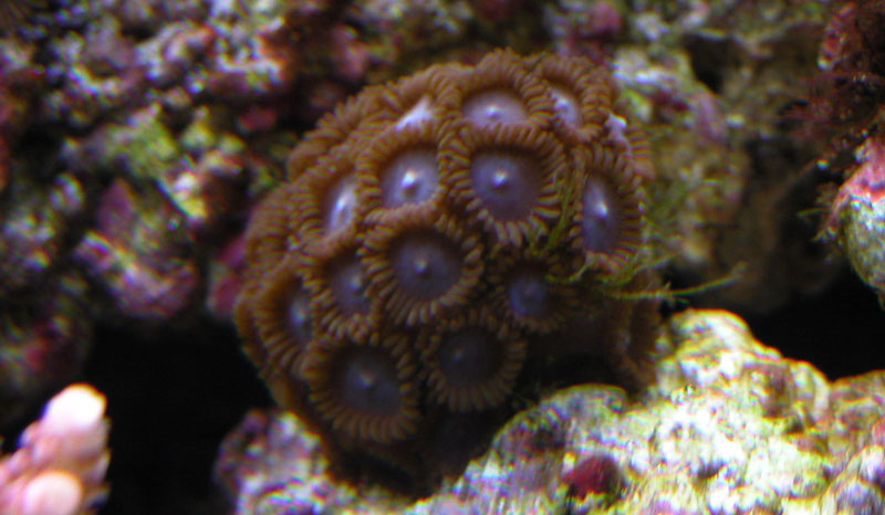 2854237005_3d6106c6f8_o.jpg