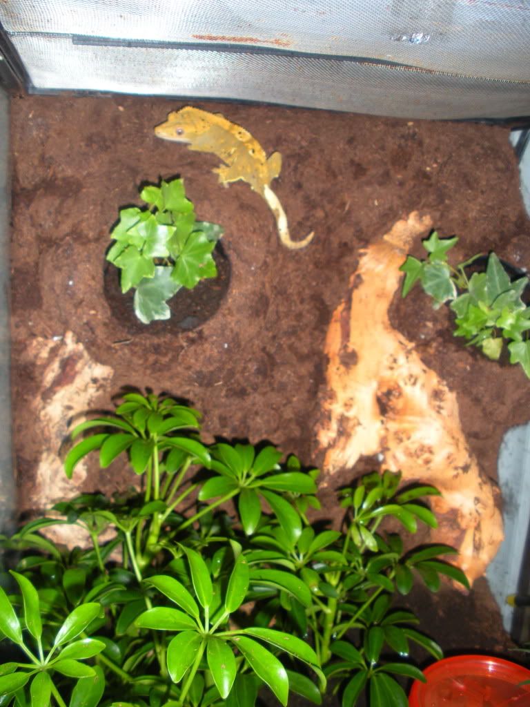 DSCN3773.jpg