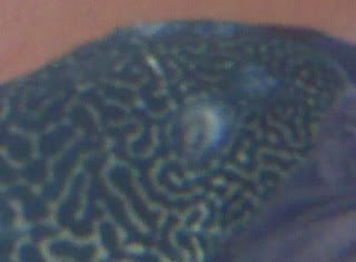IMG00578.jpg