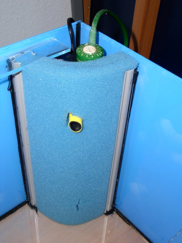 EMF-5-600.jpg