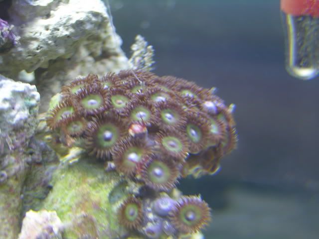 003-2.jpg