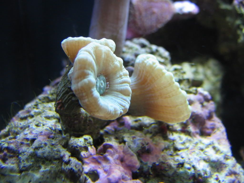 Ocean229.jpg