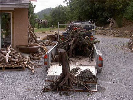 unknown3.jpg
