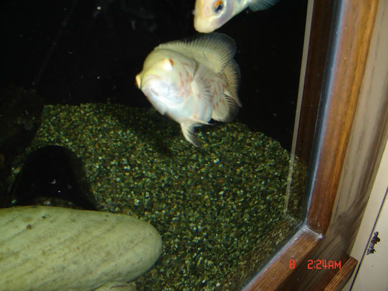 DSC00786.jpg