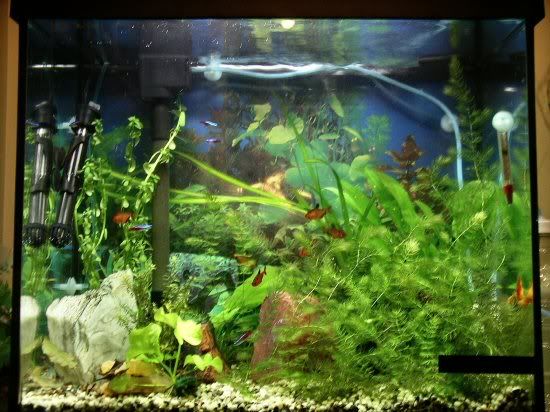 aquarium1.jpg