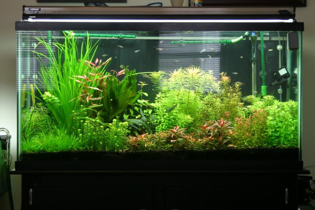 60g04-12-10002.jpg