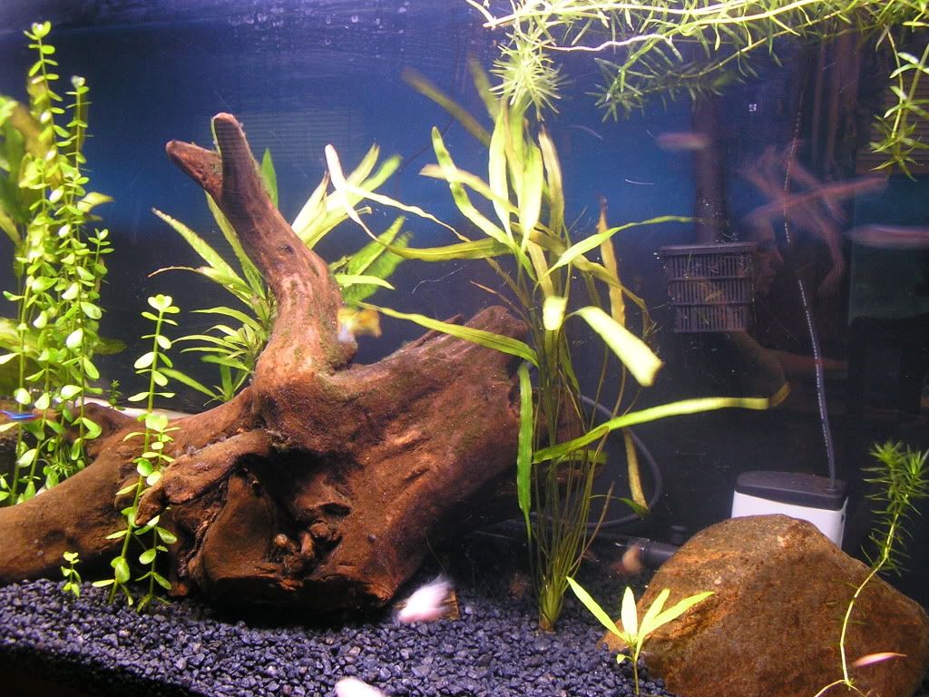 55g6-18-09R.jpg