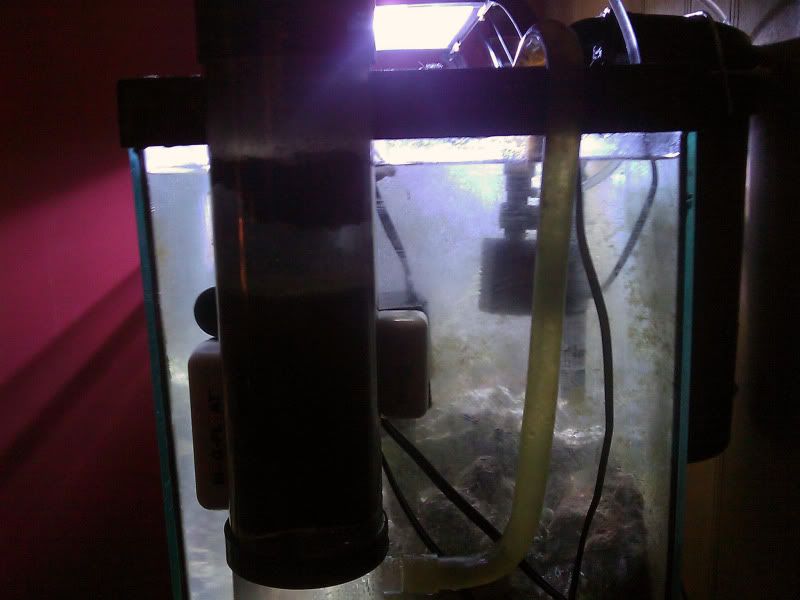 IMAG0105.jpg