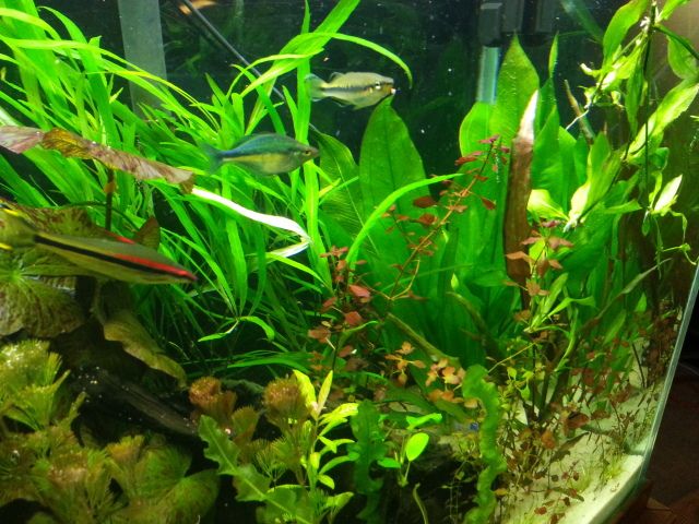 20130303_230736_zps54e33f03.jpg