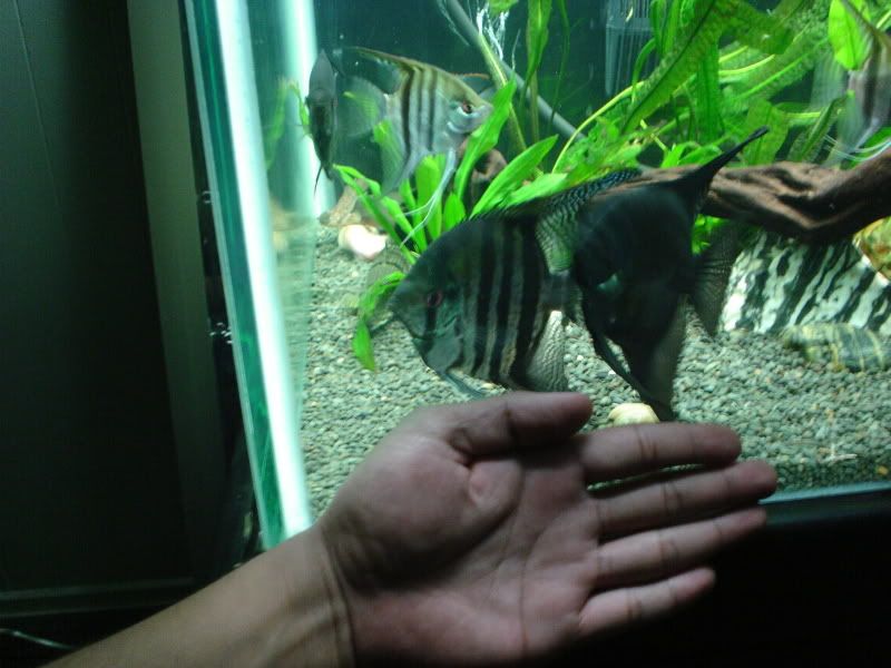 DSC02090.jpg