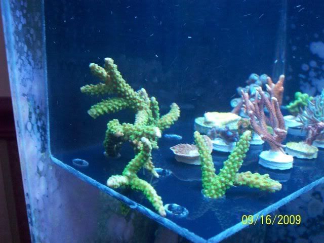 100_2268.jpg